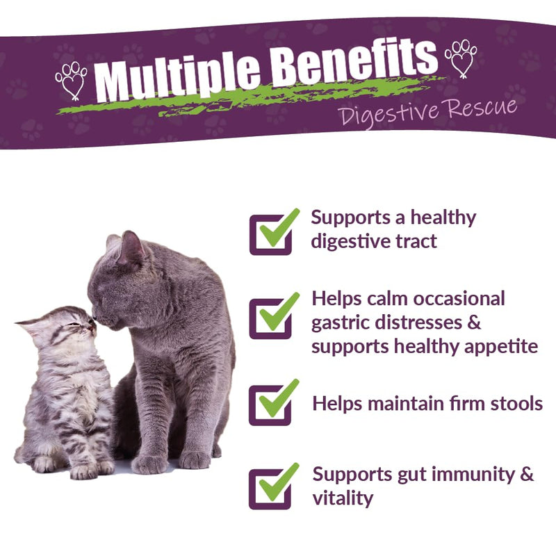 AMBER NATURALZ Kitty-DT Digestive Rescue Herbal Supplement for Cats | Feline Herbal Supplement for Occasional Upset and Digestive Support | 1 Fluid Ounce Glass Bottle | Manufactured in The USA - BeesActive Australia