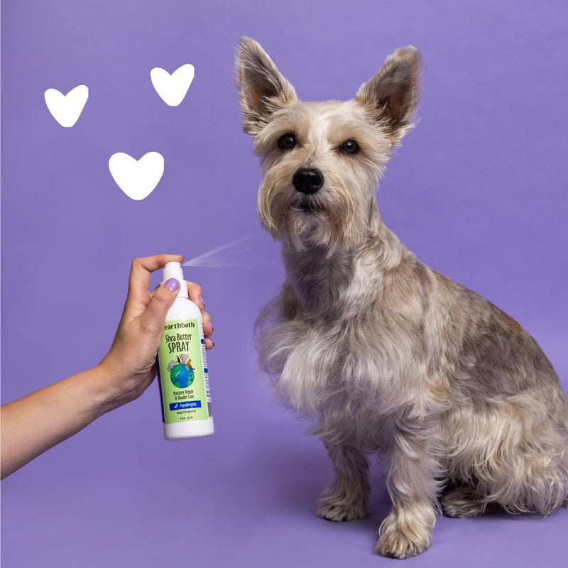 earthbath, Hypoallergenic Shea Butter Spray - Dog Dandruff Treatment, Dog & Cat Skin Moisturizer, Plant-Based, Cruelty-Free, Vegan, Gluten-Free, Non-GMO, Moisture Repair & Dander Care - 8 Oz - PawsPlanet Australia