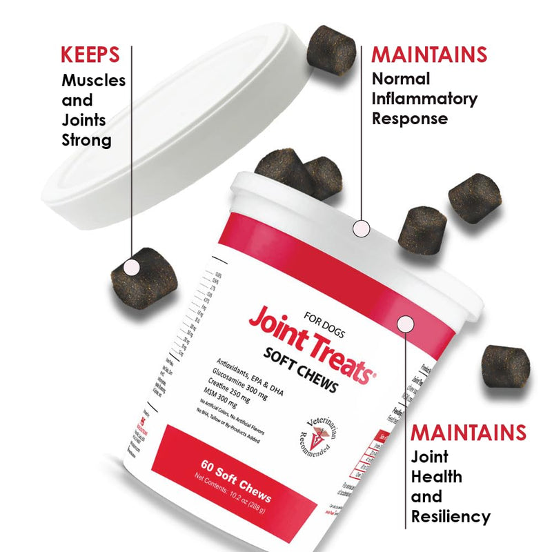 Joint MAX Joint Treats for Dogs - Glucosamine, MSM, Antioxidants, Creatine - Hip and Joint Pain Relief and Support Low Calorie Treat for Dogs - Made in USA - 60 Soft Chews - BeesActive Australia