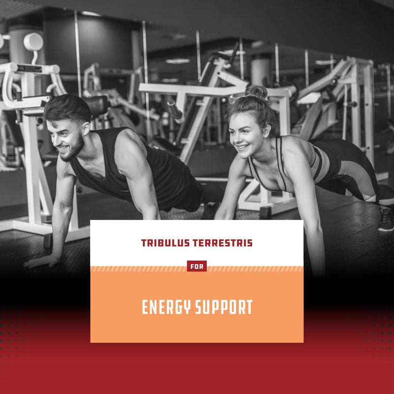 Tribulus Terrestris Extract Energy Booster - Tribulus Terrestris for Men and Women and Natural Pre Workout Supplement for Men and Women - Bodybuilding Supplements for Muscle Growth and Muscle Mass - BeesActive Australia