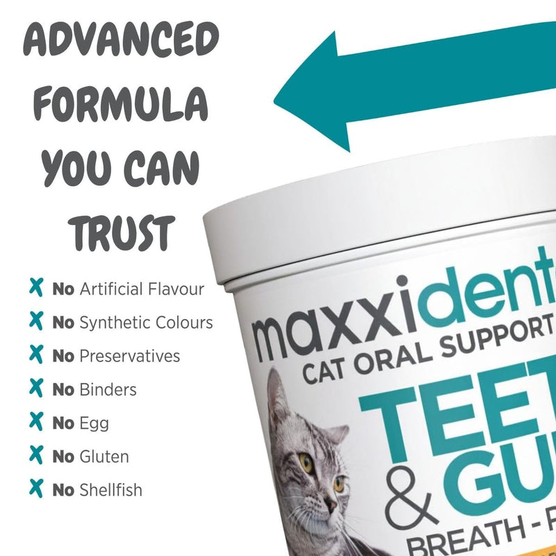 maxxipaws maxxidental Cat Dental Powder | Oral Care Supplement for Teeth, Gums, Plaque, Tartar and Fresh Breath | Kelp, Zeolite, Papain, Probiotics | Easy Sprinkle Formula | 3.2 oz