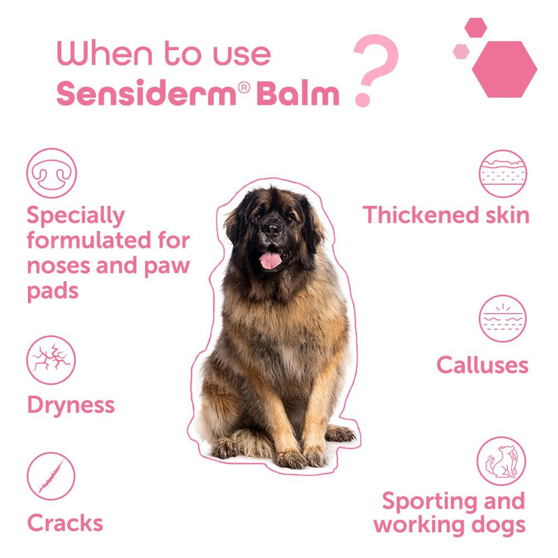 MP Labo Sensiderm® Balm 50 ml - Nose and Paw Pad Protector - Dogs and Cats - Fragrance-Free