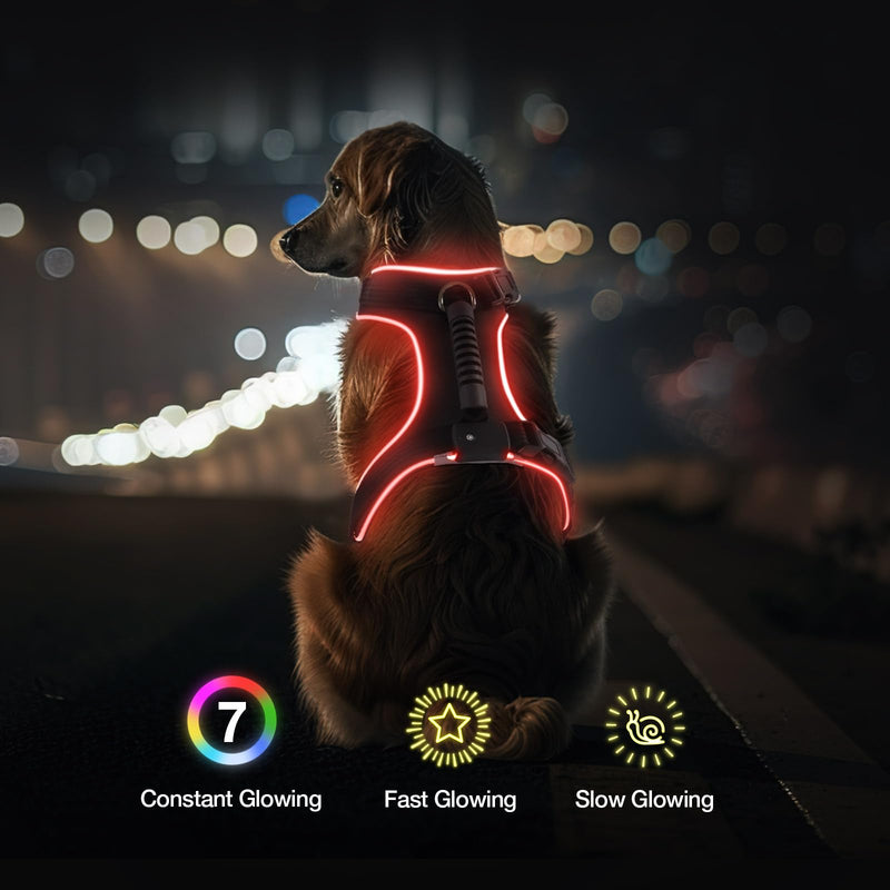 Light Up Dog Harness, 7 Color Changing LED Dog Harness, Rechargeable Rainproof Pet Harness for Night Walking, Adjustable Soft Padded Dog Vest, Glowing Dog Vest Harness for Medium and Large Dogs L - BeesActive Australia