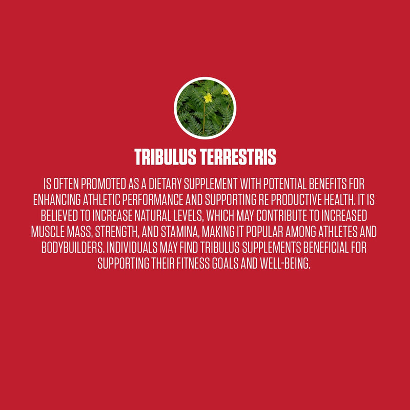 Tribulus Pure Extra Strength | #1 New Tribulus Terrestris Supplement for Men to Increase Strength, Better Stamina, Build Muscle & Improve Recovery | Vegan, Non-GMO & Gluten Free - 90 Capsules - BeesActive Australia