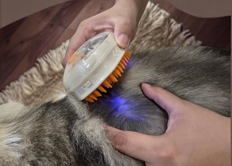 4-in-1 UV Spray Massage Grooming Brush, Bulit-in Cat Moss Lamp, Nano Spray Steam Brush for Removing Loose Fur, Water Brush for Long or Short Haired Cat and Dog (UV) - BeesActive Australia