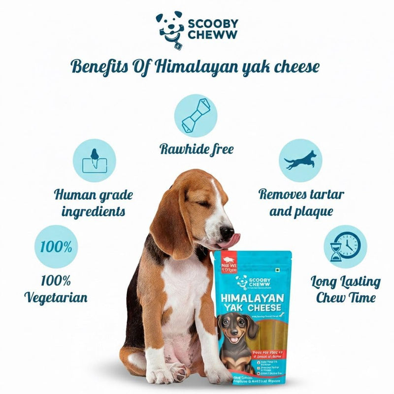 4 Count Large 100% Natural Yak Cheese for Dog Chews, Dog Treats All Breeds, High Protien, Yak Sticks | Grain & Lactose Free Dental Cleaning Long Lasting Chews for Dogs 4 Large Chews