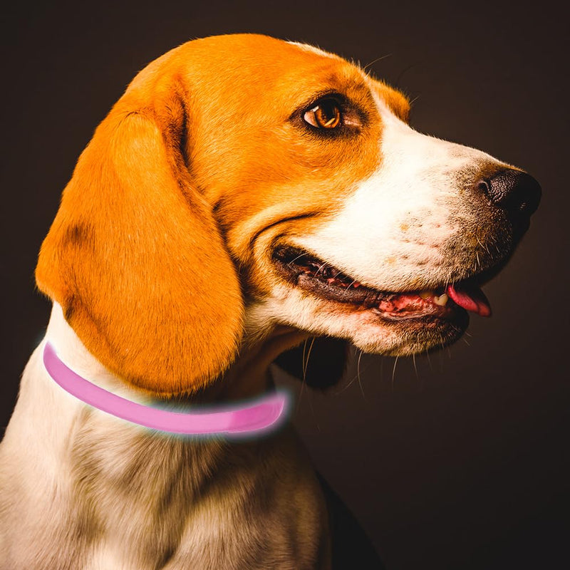 Tick collar for dogs Luminous prevention collar against parasites Adjustable to any size 2 pieces Adjustable flea and tick protection with up to 8 months protection (Pink) Pink - BeesActive Australia