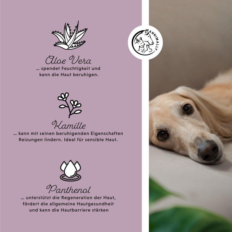 Annimally eye care pads for dogs and cats - 100x eye pads for tear stains and for eye cleaning - eye cleaner for eye care and cleaning with aloe vera, chamomile and panthenol - BeesActive Australia