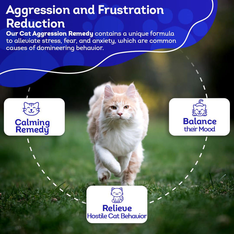 HealthyAnimals4Ever HA4E - Calming Tablets for Stressed and Aggressive Cats - Reduce Cat Aggression & Promote Relaxation - All-Natural, Homeopathic Remedy - 300 Tablets
