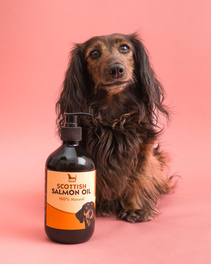 Scottish Salmon Oil for Dogs & Cats 500ml | Natural Omega 3 6 9 Fish Oil Supplement | Grain-Free Skin & Coat Support | Promotes Joint, Heart, Brain & Immune Health | Easy Pump Bottle
