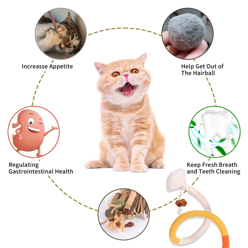 Cat Toys Cat Chew Toys, Silvervine Sticks Catnip Rope Toys for Cats Teeth Cleaning, Kitten Dental Care, Kitty Toys for Indoor Cats Increase Appetite,Enhances Oral & Dental Health (21 Pack) 21 Pack - BeesActive Australia