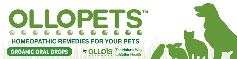OLLOPETS Eczema, Organic Homeopathic Pet Remedy for All Pets, 1 Fl Ounce