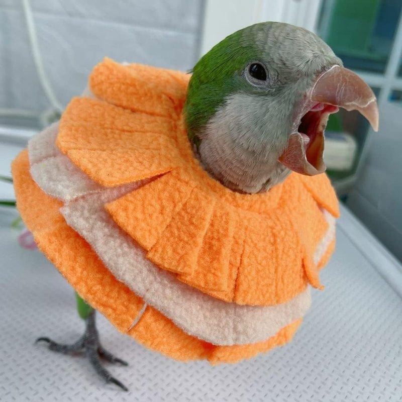 Bird Collar Anti Bite Elizabethan Recovery Cone, Parrot Neck Protector for Feather Plucking, Bird Neckwear Full Body Shield for Parakeet Color Randomly (Cockatoo) Cockatoo