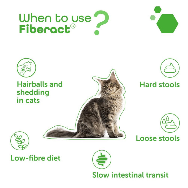 MP Labo Fiberact 100 g Jar - Supports Intestinal Transit for Dogs and Cats - Blond Psyllium Husk Powder
