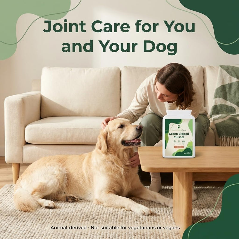 Green Lipped Mussel for Dogs - Also for Humans - 90 x 500mg - Green Lipped Mussel Capsules - Pure New Zealand Powder - Hip, Knee and Joint Care Supplement - Naturally Contains Omega 3 90 count (Pack of 1)