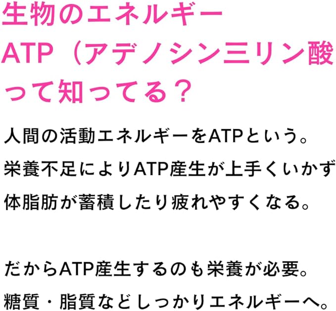 Miura Takuya Shoten Ketogenic ATP Production Boost Supplement 140 Tablets B Vitamins Carnitine Magnesium Iron Zinc Diet Supplement - BeesActive Australia