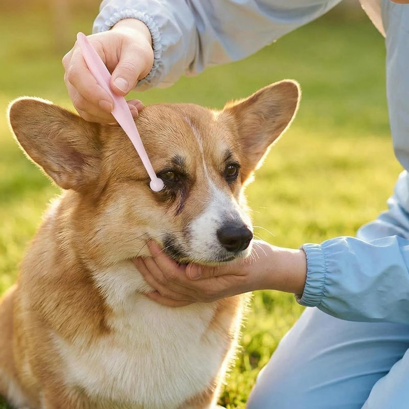 DQITJ 6 Pack Gentle Eye Care Brushes for Pets, Pink Soft Fiber Tear Stain Remover – Safe Tapered Tip for Delicate White Fur