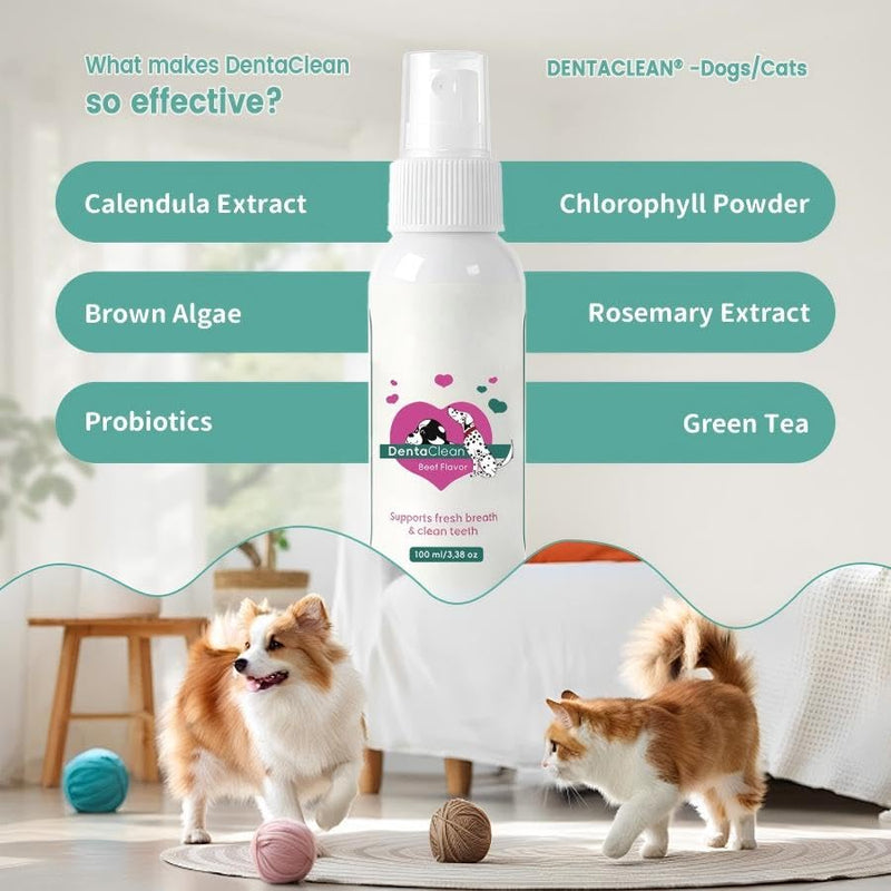 DentaClean Spray for Dogs & Cats, No-Brush Plaque & Tartar Remover, Breath Freshener, Dentaclean for Dogs, Supports Daily Denta Hygiene, Easy Spray Use, 100ml