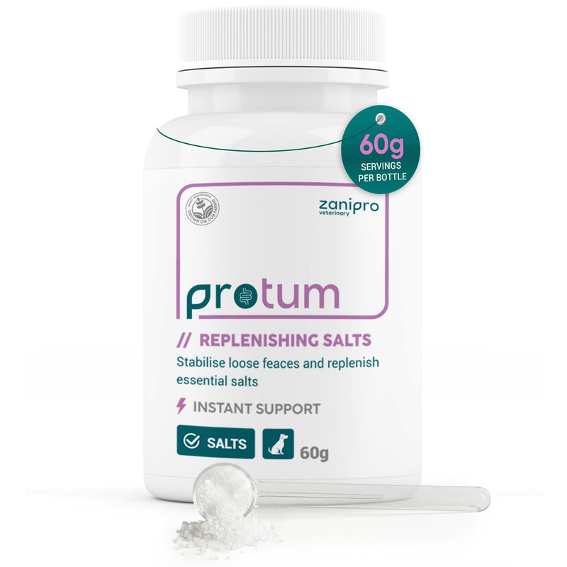 Dog Electrolytes, Rehydration & Essential Salt Replenishment for Dogs After Diarrhea, Gut Recovery – Appetite Stimulant, Fast & Effective Hydration, 60g - 60 Servings Replenishing Salts