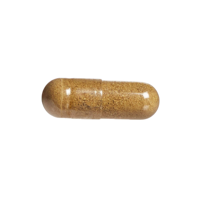Natural Factors Herbal Factors Sleep Relax Formula, Natural Sleep Aid with Valerian Root, Passion Flower and Skullcap, Non-GMO, 90 capsules (90 servings) - BeesActive Australia