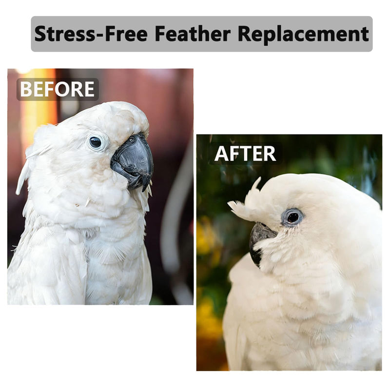 Calcium for Birds with Magnesium & Vitamin D3 – 4oz Powder, Essential for Molting, Faster Feather Regrowth, Strong Beak & Bone | Parrot Supplement