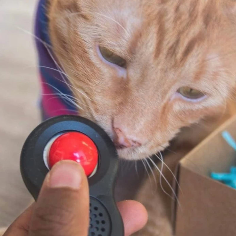 TRAVEL CAT Clicker Training Kit - 3 Pack Cat and Puppy Training Clicker with Button and Wrist Strap for Cats Behavior, Rewards Training - Red, Blue and Black Pet Training Clicker with Loud Click Sound - BeesActive Australia
