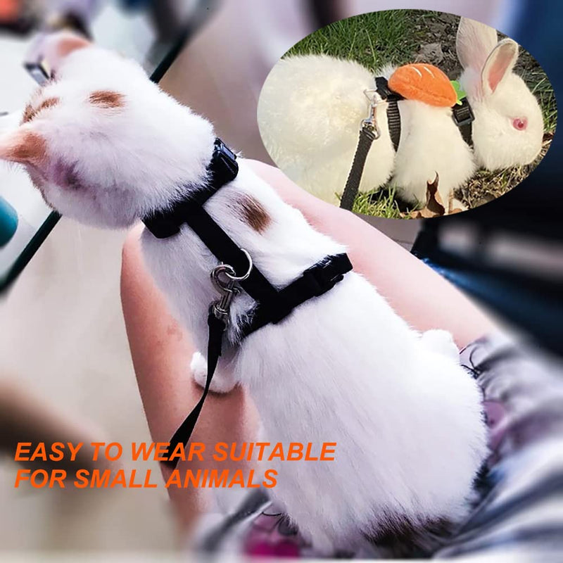 Cat harness with leash escape-proof, cat harness, adjustable cat leash with harness for cats, nylon cat leash, cat harness kitten for small cats and dogs - BeesActive Australia