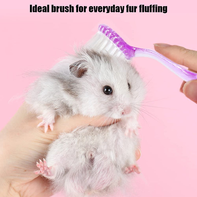 2 Pack Hamster Brush, Guinea Pig Massage Combs, Hedgehog Cleaning Supplies - Purple - BeesActive Australia