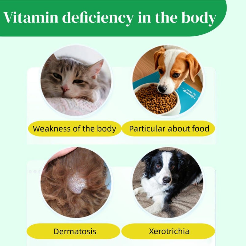Natural Antibiotics for Cats, 2 Pieces Cat Antibiotics for Infections, Cat Antibiotics for UTI, Cat Antibiotic Supports Immune System & Cat Allergy Relief, 30 ml