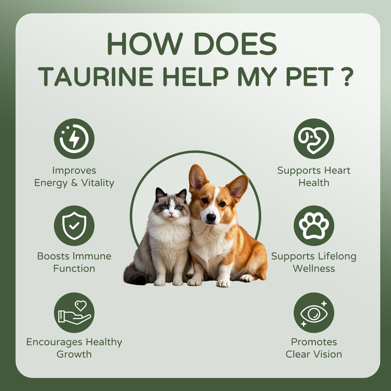 Pawvita Pure Taurine Supplement Powder for Dogs & Cats - Advanced Heart, Vision & Cognitive Support - Easy to Mix in Food, 200g