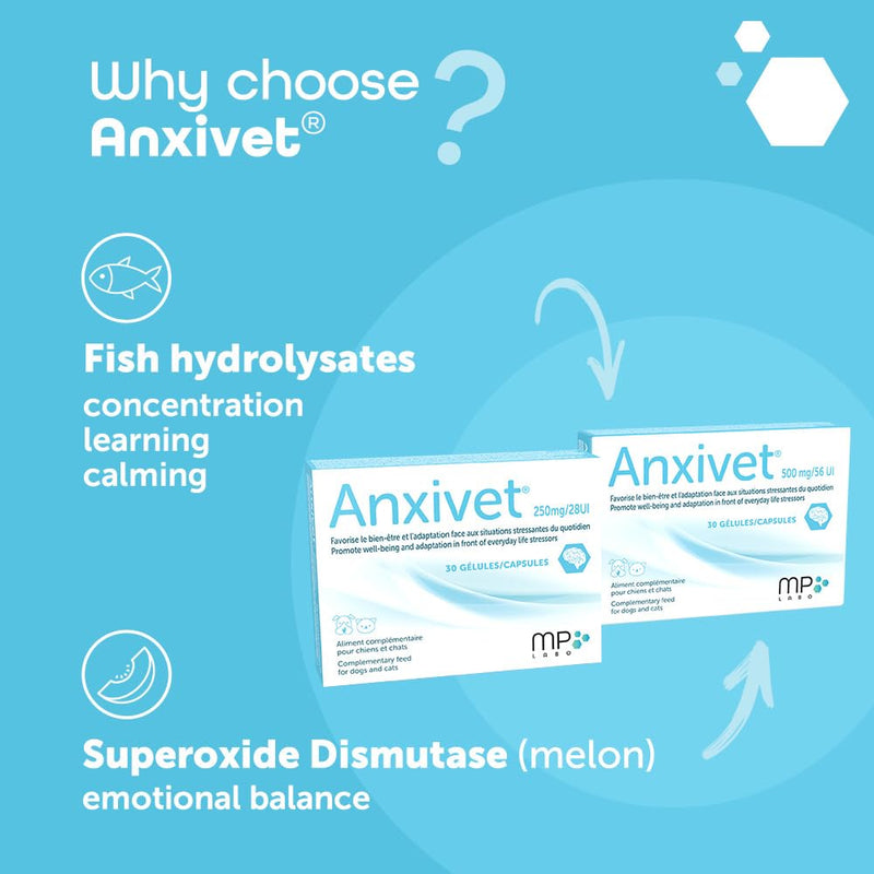MP Labo Anxivet - Promotes Well-being and Adaptation to Stressful Daily Situations for Dogs and Cats (250 mg 28 IU 30 Capsules)
