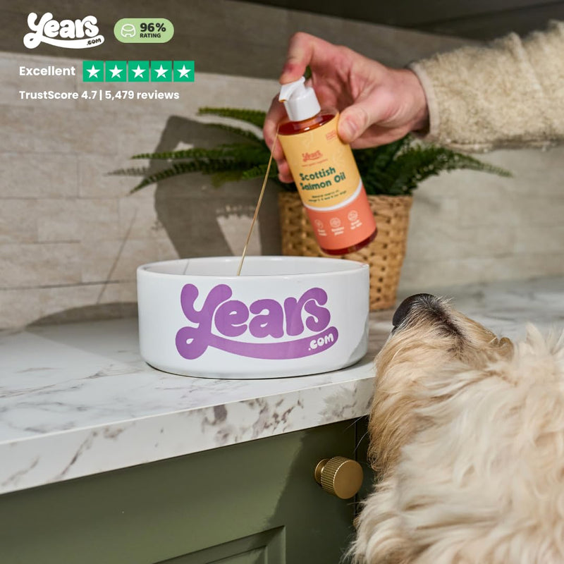 YEARS Salmon Oil for Dogs | Soothes Itchy Skin, Supports Stiff Joints & Promotes a Glossy Coat | Pure Scottish Fish Oil | Omega 3 6 9 | Natural Dog Supplement UK | 250ml 1 x Salmon Oil (250ml)