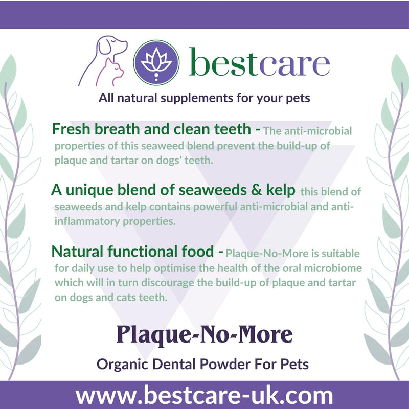 Plaque-No-More