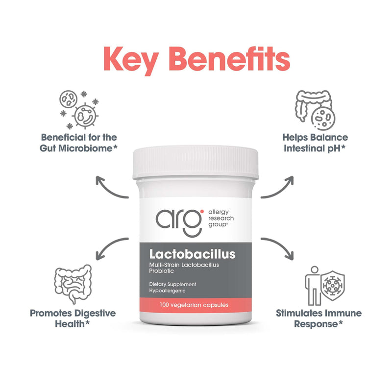 ARG Lactobacillus Multi-Strain Probiotic, 100 Capsules | Multi-Strain Probiotic Capsule for Gut and Digestive Health, Dairy Free, Gluten Free, Vegetarian Formula