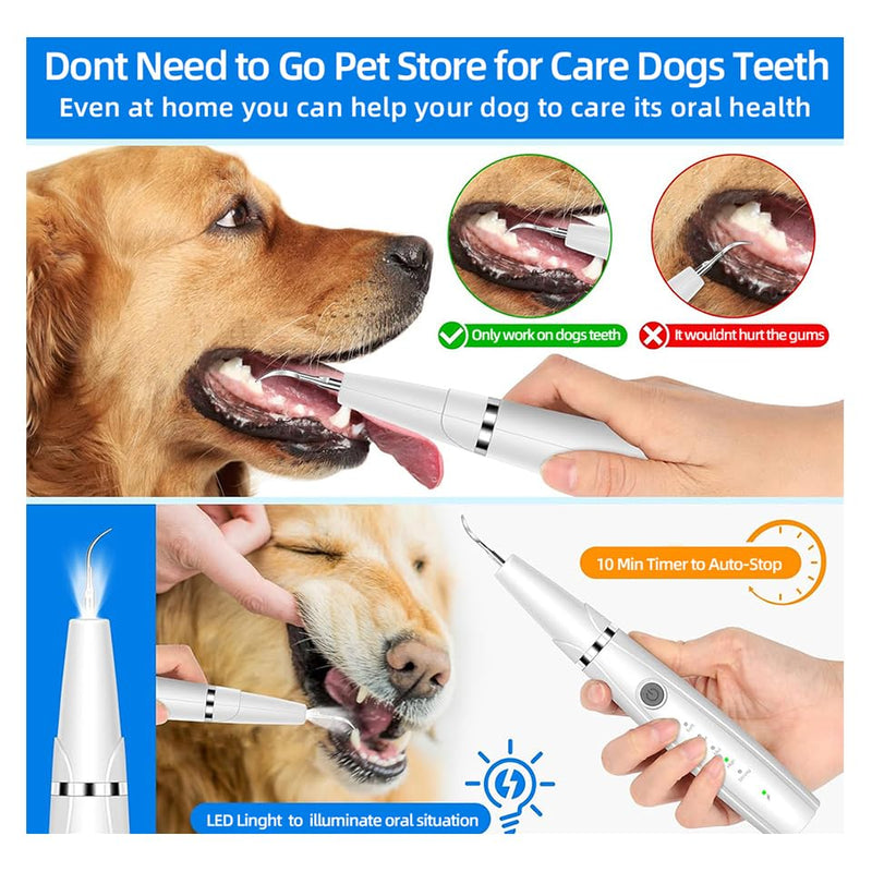 Dog Teeth Cleaning Kit | Pet Tooth Cleaner | Dental Care Tartar Plaque Remover for Dogs and Cats (White)
