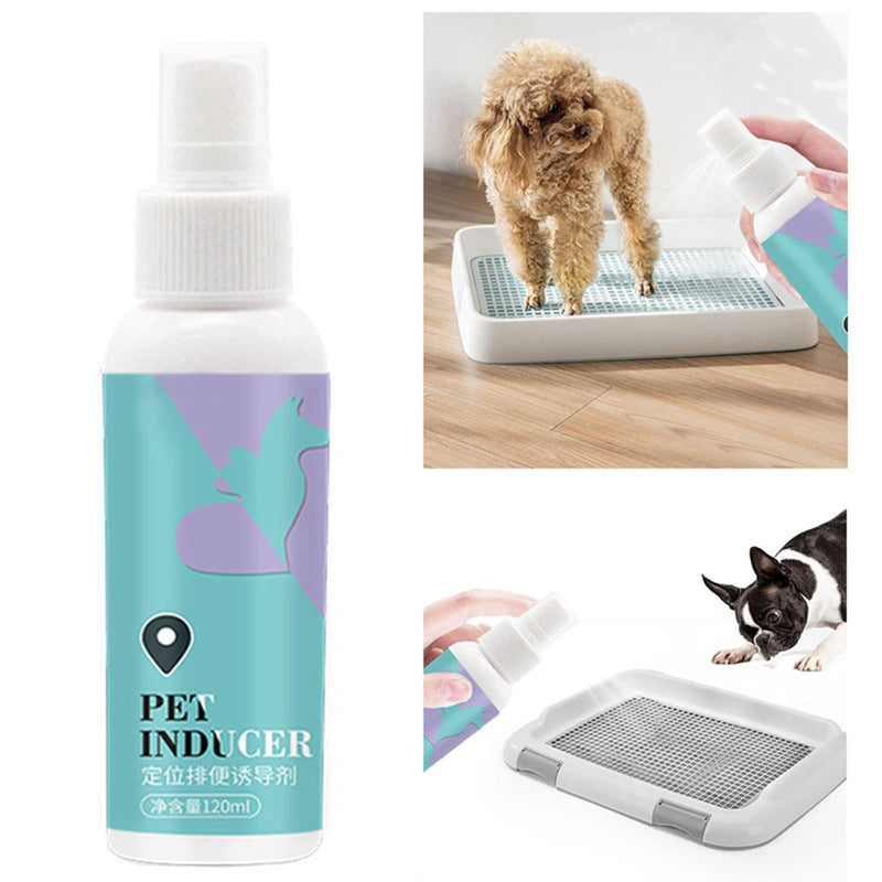 Pet Potty Training Spray – Safe, Mild & Enzyme-Based Odor for Dogs, Puppies & Cats – Indoor/Outdoor Use – 120ml (Compatible with Common Pet Surfaces)