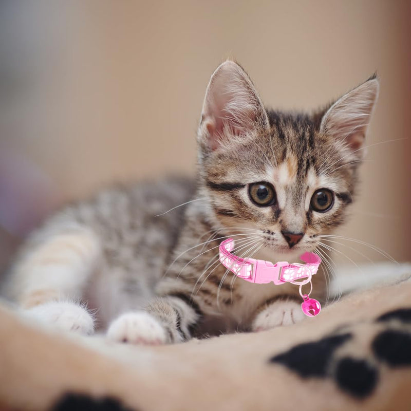 MJIYA Cat Collar with Bell, Breakaway Grid Collar with Plastic Buckle, Light Adjustable, Nylon, Kitty Collars Pink - BeesActive Australia