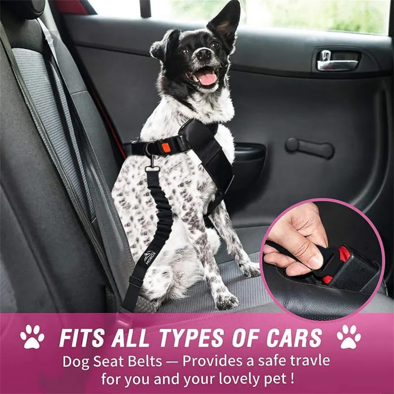 Norox Set of 3 Retractable Seat Belts: Adjustable Dog Seat Belt for Car | Sturdy, Durable, 360 Degree Rotating Elastic Straps for Pet Safety | Universal Fit Small to Large Dog Seat Belt Harness, Black - BeesActive Australia