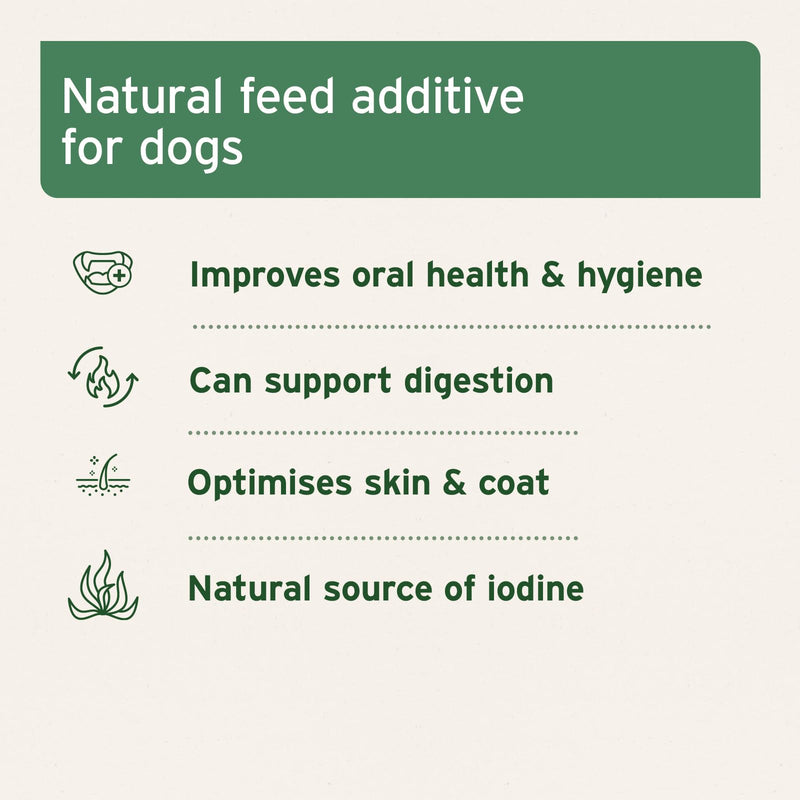 AniForte Seaweed for Dogs Powder 250g - Natural Supplement for Cleaning Teeth, Fresher Breath, Prevents Gum Disease, Boosts Weight Loss & Metabolism