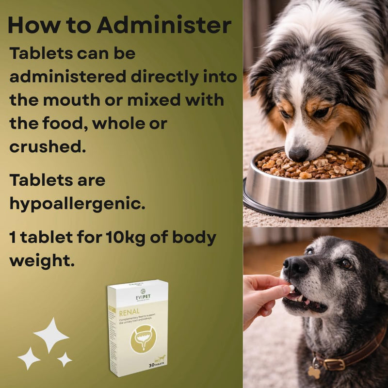 Renal Complementary Feed for Cats and Dogs | 30 Tablets | Helps and Maintains Renal Disorders | Supports the Urinary Tract