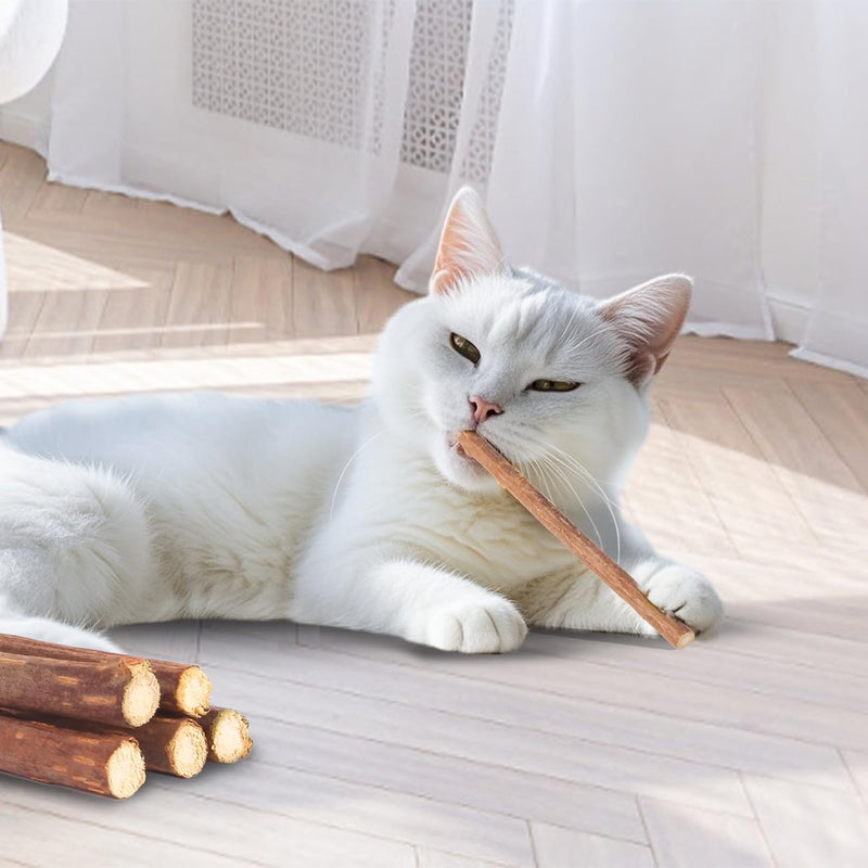 Cat Toys Cat Chew Toys, Silvervine Sticks Catnip Rope Toys for Cats Teeth Cleaning, Kitten Dental Care, Kitty Toys for Indoor Cats Increase Appetite,Enhances Oral & Dental Health (21 Pack) 21 Pack - BeesActive Australia