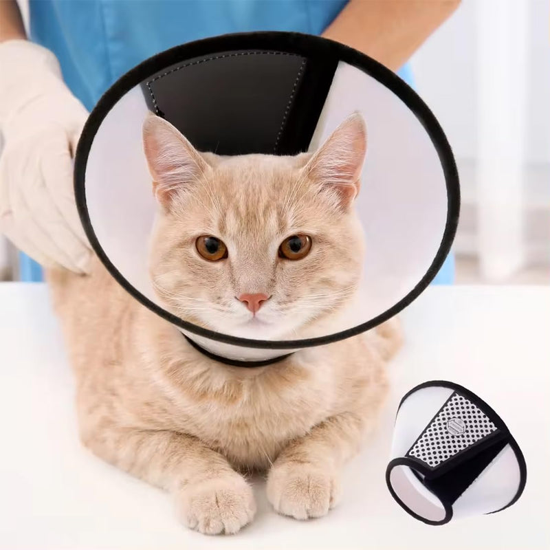 WeddHuis Pets Plastic Elizabethan Neck Brace for Pets, Soft Cat Protective Collar, Suitable for Kittens and Puppies - BeesActive Australia