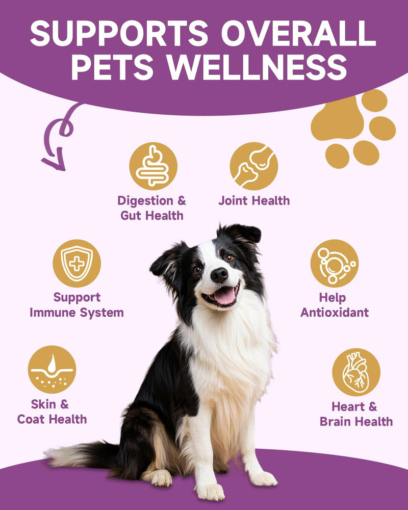 Mushroom for Dogs & Cats - Turkey Tail for Dogs - 10 Organic Mushroom Supplement with Turkey Tail, Reishi, Lions Mane - Lumps & Bumps, Immunity, Gut, Skin, Joint Health - Chicken Flavor