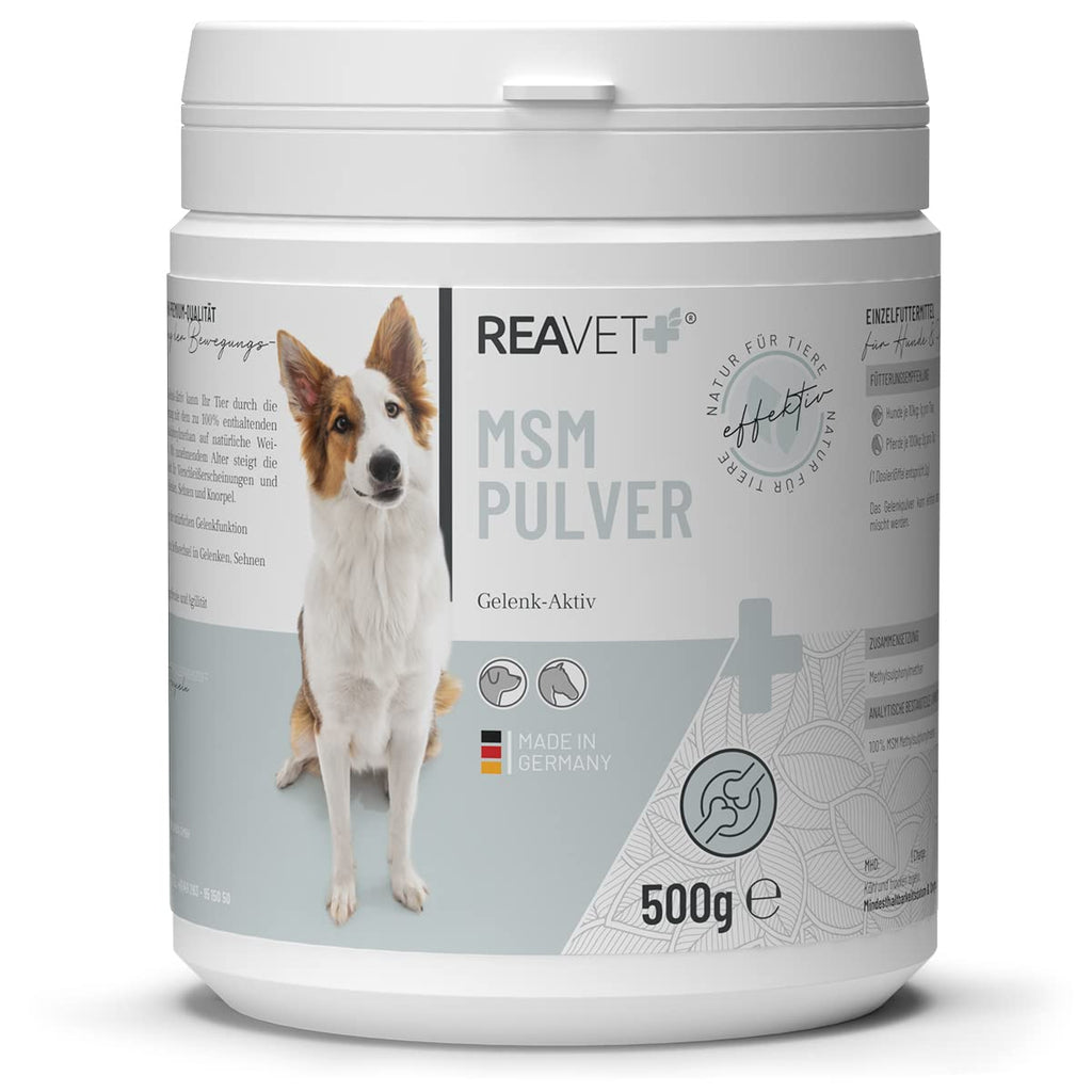 ReaVET MSM powder for dogs 500g - MSM dog, joint powder for tendons, ligaments & cartilage, joint powder methylsulfonylmethane, natural joint protection, promotion of joy of movement