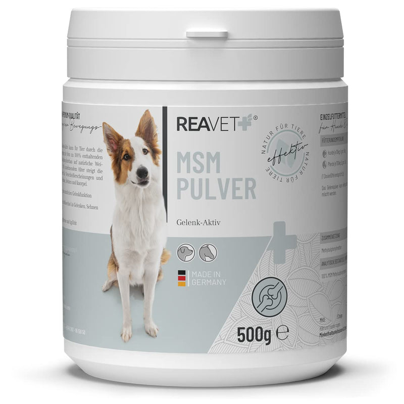 ReaVET MSM powder for dogs 500g - MSM dog, joint powder for tendons, ligaments & cartilage, joint powder methylsulfonylmethane, natural joint protection, promotion of joy of movement