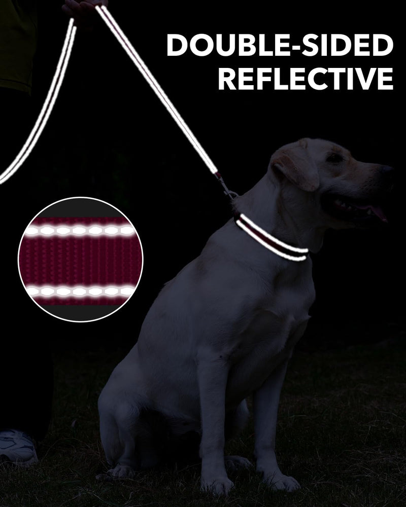 Taglory Dog Leash for Small Dogs, Double-Sided Reflective Dog Leash with Soft Neoprene Padded Handle, 3/4 inch by 4 ft, Fit Small Medium Large Breeds Dogs Under 20 lbs, Hot Pink 3/4 in x 4 ft (Pack of 1) - BeesActive Australia