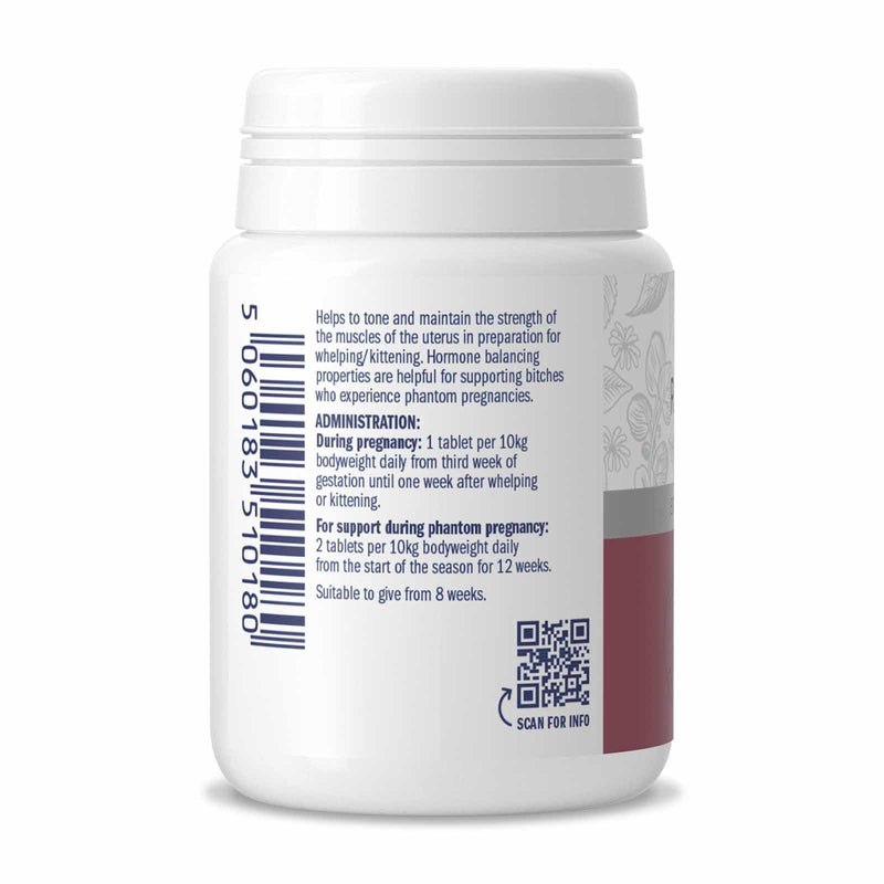 Dorwest Raspberry Leaf Tablets for Dogs And Cats, 200 Tablets, Pregnancy Support For Pets – For Natural Hormonal Balance and Phantom Pregnancies