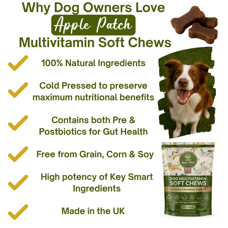 Premium Dog Multivitamin Soft Chews – Complete All-in-One Supplement for Joint, Skin, Coat, Digestion, Heart, Brain & Immune Health - Natural Ingredients - Full Wellbeing Support