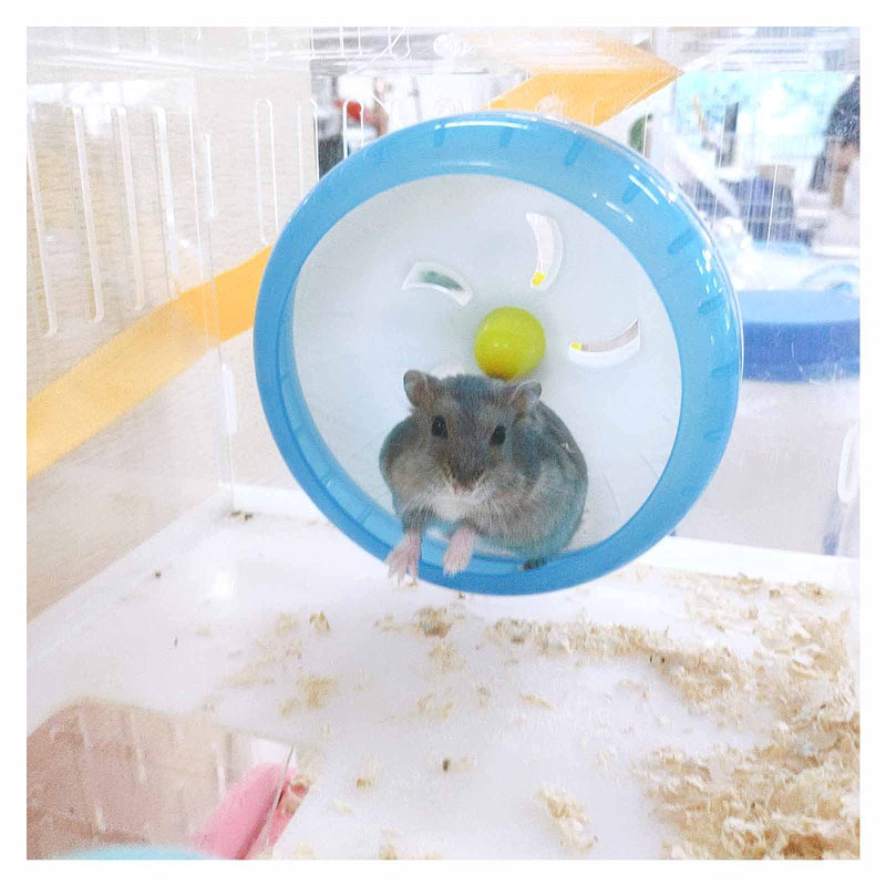 WishLotus Hamster Running Wheel, Silent Jogging Exercise Toy Hamster Cage Accessory for Drawf Hamster Golden Silk Shih Tzu Bear (Blue) blue - BeesActive Australia