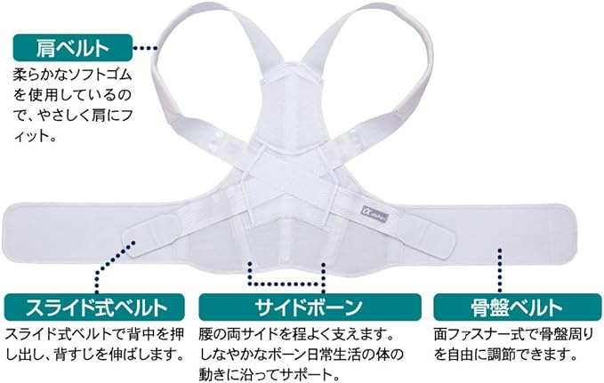 Alphax Posture Supporter, Doctor's Firm Back Belt, M-L Made in Japan -  Australia